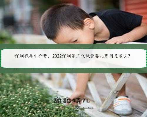 深圳代孕中介费，2022深圳第三代试管婴儿费用是多少？
