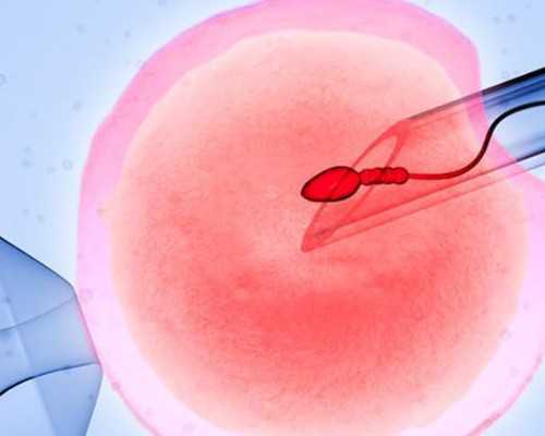 代孕生宝宝公司,卵巢功能衰退的原因是什么