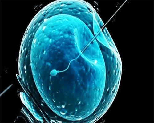 包成功双胞胎_代生包生男孩吗,抗精子抗体阳性可以怀孕吗?别慌,看完本文还