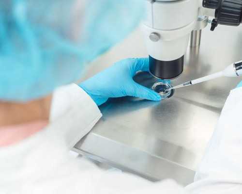 [营养学]降调期间可以吃高蛋白的食物吗