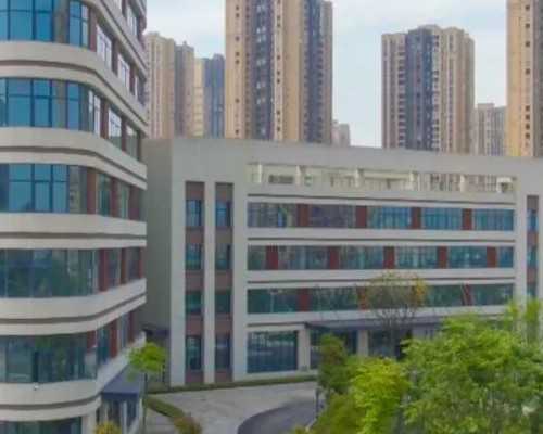 怀孕5个月感冒会致畸吗