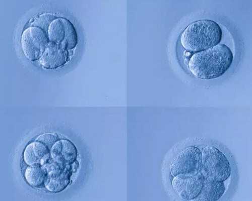 正常的hpv报告单图片会显示42型吗?