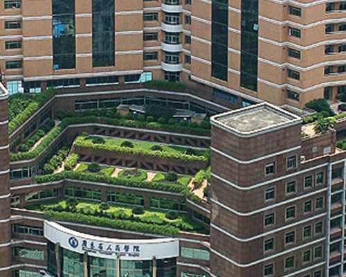 深圳代生有成功的吗，深圳供卵找天子代生,深圳比较好的试管医院排名前十，