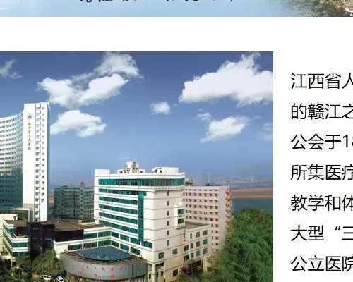 深圳试管生宝宝要多少钱