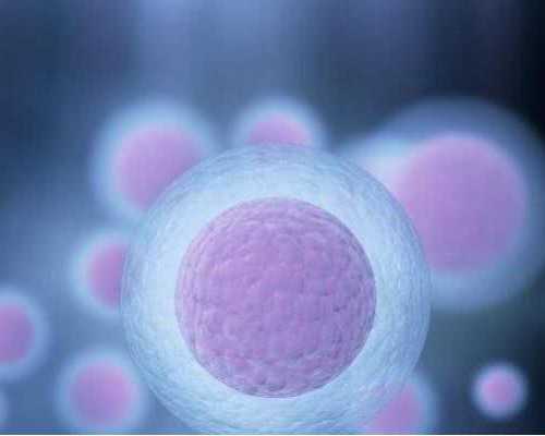 试管代孕哪家做,青春期多囊卵巢综合症表现是什么会有哪些症状