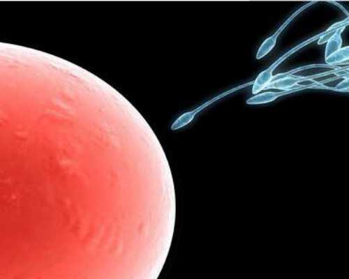 2026年在佛山私立生殖医院做供卵试管费用一般是多少？