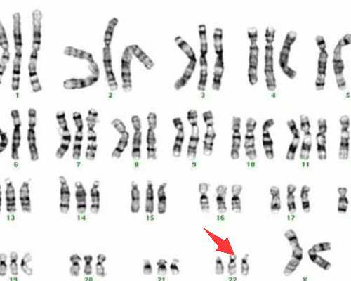 深圳代生得子,2026深圳第三代试管婴儿成功率?