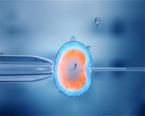 深圳供卵试管生双胞胎网,2026年深圳最权威的试管医院受骗?深圳试管婴儿效果